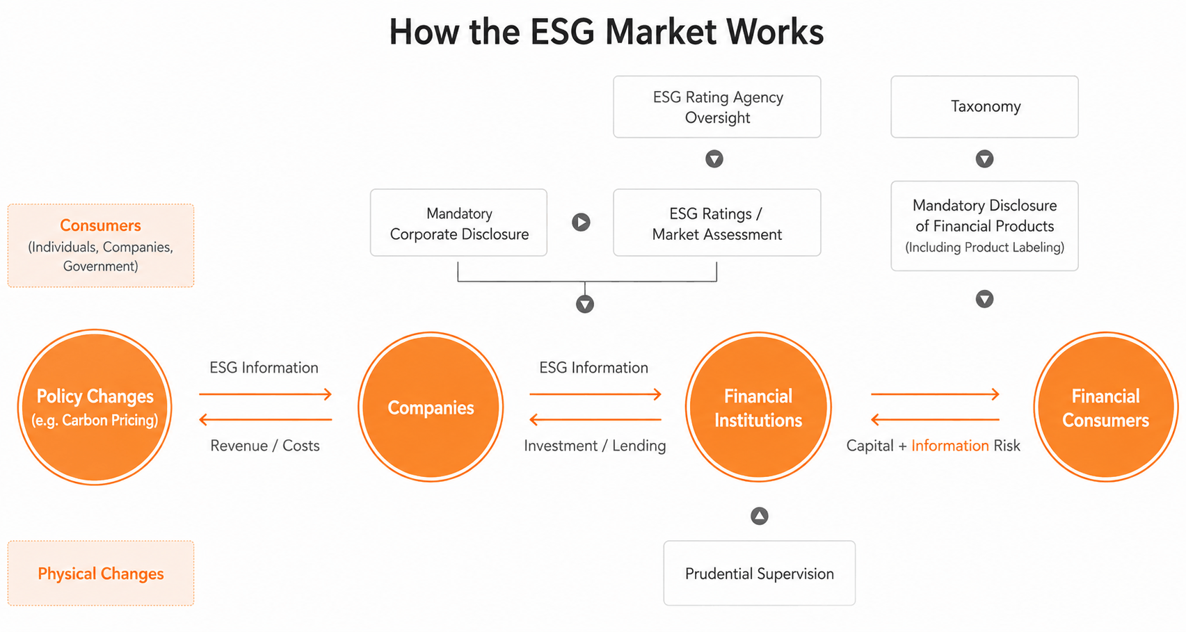 How the ESG market works: a flow diagram linking policy changes, companies, financial institutions, and financial consumers through ESG information, disclosure, and oversight
