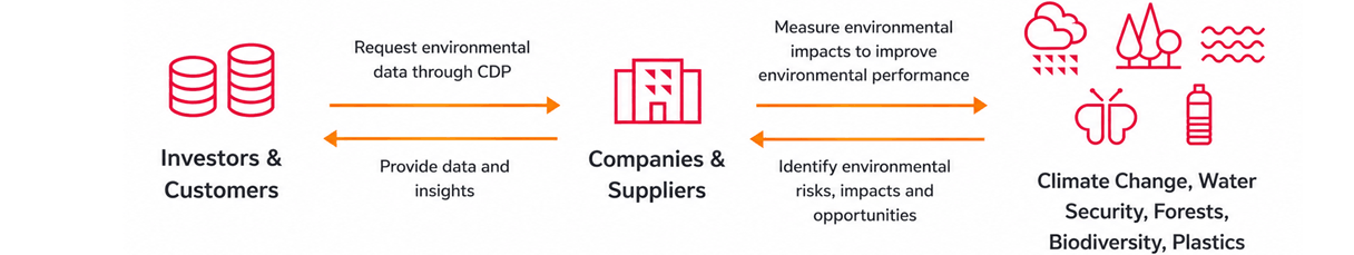 How CDP works: investors and customers request environmental data through CDP from companies and suppliers