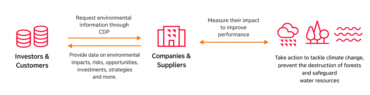 How CDP works: investors and customers request environmental data through CDP from companies and suppliers, who measure their impact and take action on climate change, forests, and water